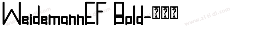 WeidemannEF Bold字体转换